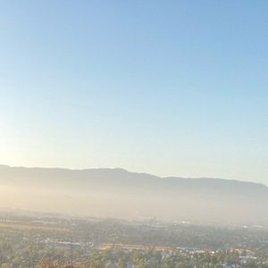 Meet your Posher, Landon